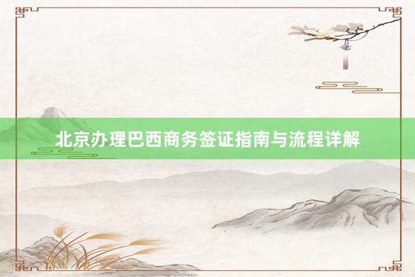 北京办理巴西商务签证指南与流程详解